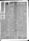 Kendal Mercury Saturday 20 April 1878 Page 3