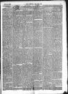 Kendal Mercury Saturday 13 July 1878 Page 3