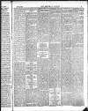 Kendal Mercury Friday 06 February 1880 Page 5