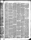 Kendal Mercury Friday 19 March 1880 Page 3