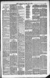 Kendal Mercury Friday 28 May 1880 Page 3