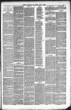 Kendal Mercury Friday 04 June 1880 Page 3