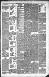 Kendal Mercury Friday 18 June 1880 Page 7