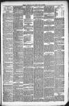 Kendal Mercury Friday 30 July 1880 Page 3