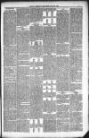 Kendal Mercury Friday 30 July 1880 Page 7