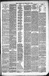 Kendal Mercury Friday 06 August 1880 Page 3