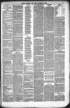 Kendal Mercury Friday 03 September 1880 Page 3