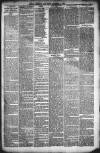 Kendal Mercury Friday 05 November 1880 Page 3