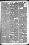 Kendal Mercury Friday 24 December 1880 Page 7