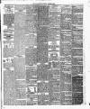 Sligo Champion Saturday 30 January 1875 Page 3