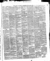 Sligo Champion Saturday 12 March 1881 Page 3