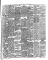 Sligo Champion Saturday 05 April 1884 Page 3