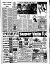 Sligo Champion Friday 01 February 1991 Page 5