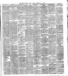 Dublin Evening Mail Tuesday 01 February 1876 Page 3