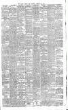 Dublin Evening Mail Saturday 12 February 1876 Page 3