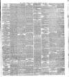Dublin Evening Mail Monday 21 February 1876 Page 3