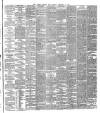 Dublin Evening Mail Monday 11 February 1878 Page 3