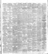 Dublin Evening Mail Wednesday 13 February 1878 Page 3