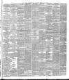 Dublin Evening Mail Tuesday 19 February 1878 Page 3