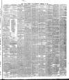 Dublin Evening Mail Wednesday 20 February 1878 Page 3