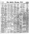 Dublin Evening Mail Friday 14 June 1878 Page 1