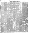 Dublin Evening Mail Friday 14 June 1878 Page 3