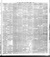 Dublin Evening Mail Tuesday 13 August 1878 Page 3