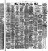 Dublin Evening Mail Wednesday 22 January 1879 Page 1