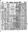 Dublin Evening Mail Friday 29 October 1880 Page 1