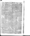Dublin Evening Mail Wednesday 22 February 1893 Page 5