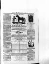 Northern Whig Wednesday 01 May 1861 Page 7