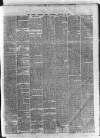 Dublin Evening Post Thursday 03 January 1867 Page 3