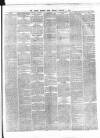 Dublin Evening Post Friday 04 January 1867 Page 3