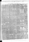 Dublin Evening Post Friday 11 January 1867 Page 3