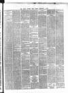 Dublin Evening Post Friday 01 February 1867 Page 3