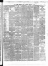 Dublin Evening Post Saturday 02 February 1867 Page 3