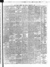 Dublin Evening Post Monday 04 February 1867 Page 3