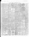 Dublin Evening Post Saturday 02 March 1867 Page 3