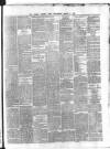 Dublin Evening Post Wednesday 06 March 1867 Page 3