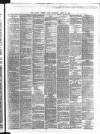 Dublin Evening Post Thursday 25 April 1867 Page 3