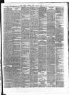 Dublin Evening Post Monday 29 April 1867 Page 3