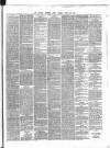 Dublin Evening Post Friday 28 June 1867 Page 3