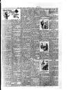 West London Observer Friday 01 August 1913 Page 13