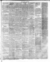 East London Observer Saturday 29 April 1865 Page 3