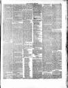 East London Observer Saturday 04 January 1868 Page 3