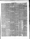 East London Observer Saturday 11 January 1868 Page 5