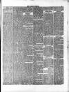 East London Observer Saturday 18 January 1868 Page 3