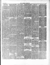 East London Observer Saturday 21 March 1868 Page 3