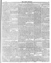 East London Observer Saturday 30 January 1869 Page 5