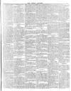 East London Observer Saturday 15 February 1873 Page 7